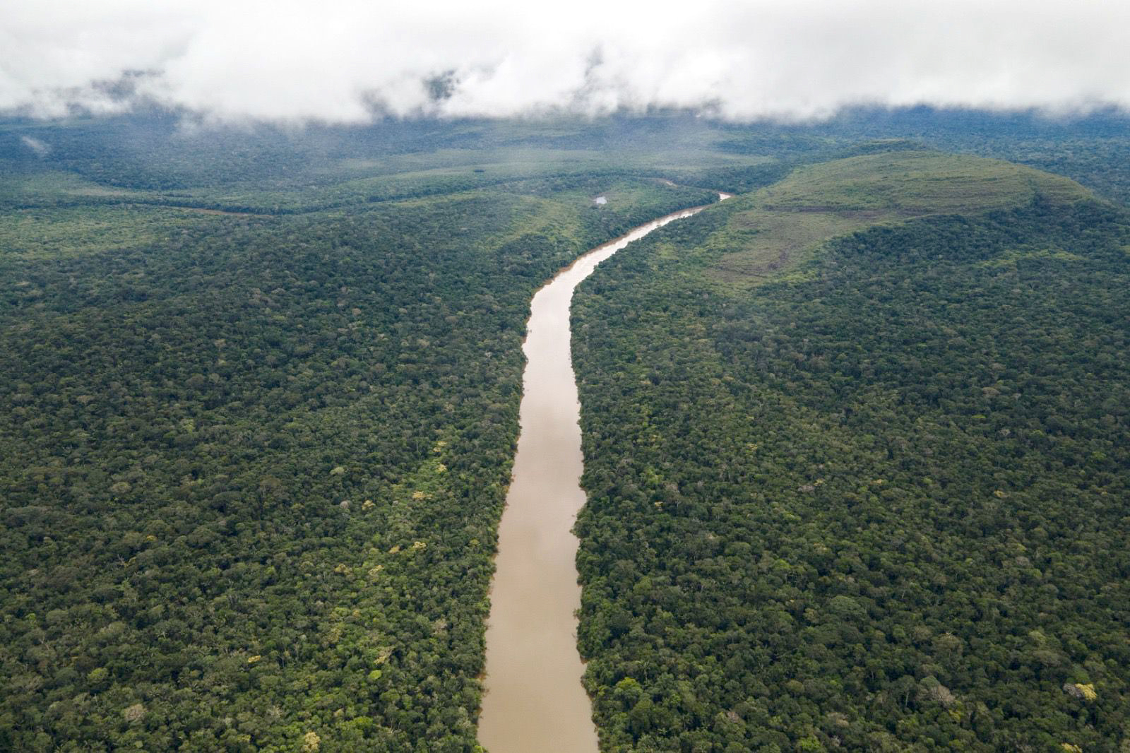Amazonía colombiana reduce en 25% la deforestación estimada entre enero y septiembre de 2025