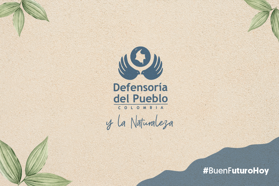Salud sin interrupciones: llamado urgente para garantizar el goce efectivo del derecho