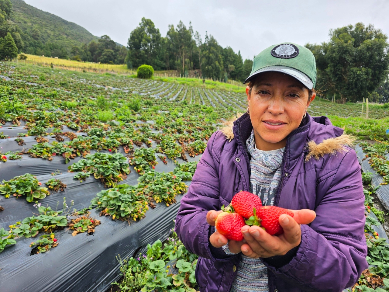 Mujeres rurales: liderazgo que transforma los sistemas agroalimentarios en Bogotá-Cundinamarca
